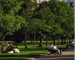 Royal Park - Hyde Park